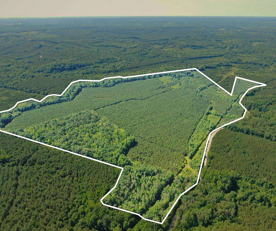 146 Acres of Recreational & Residential Land for Sale in Fulton, Mississippi