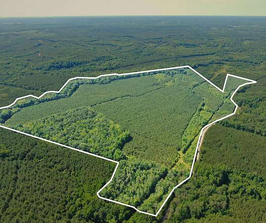 146 Acres of Recreational & Residential Land for Sale in Fulton, Mississippi