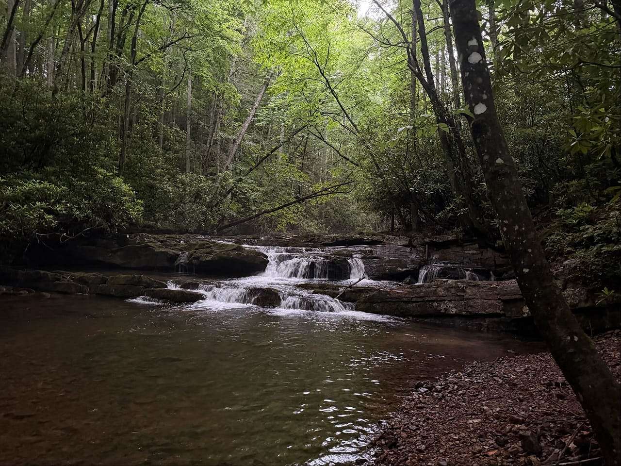 7.27 Acres of Land for Sale in Bastian, Virginia
