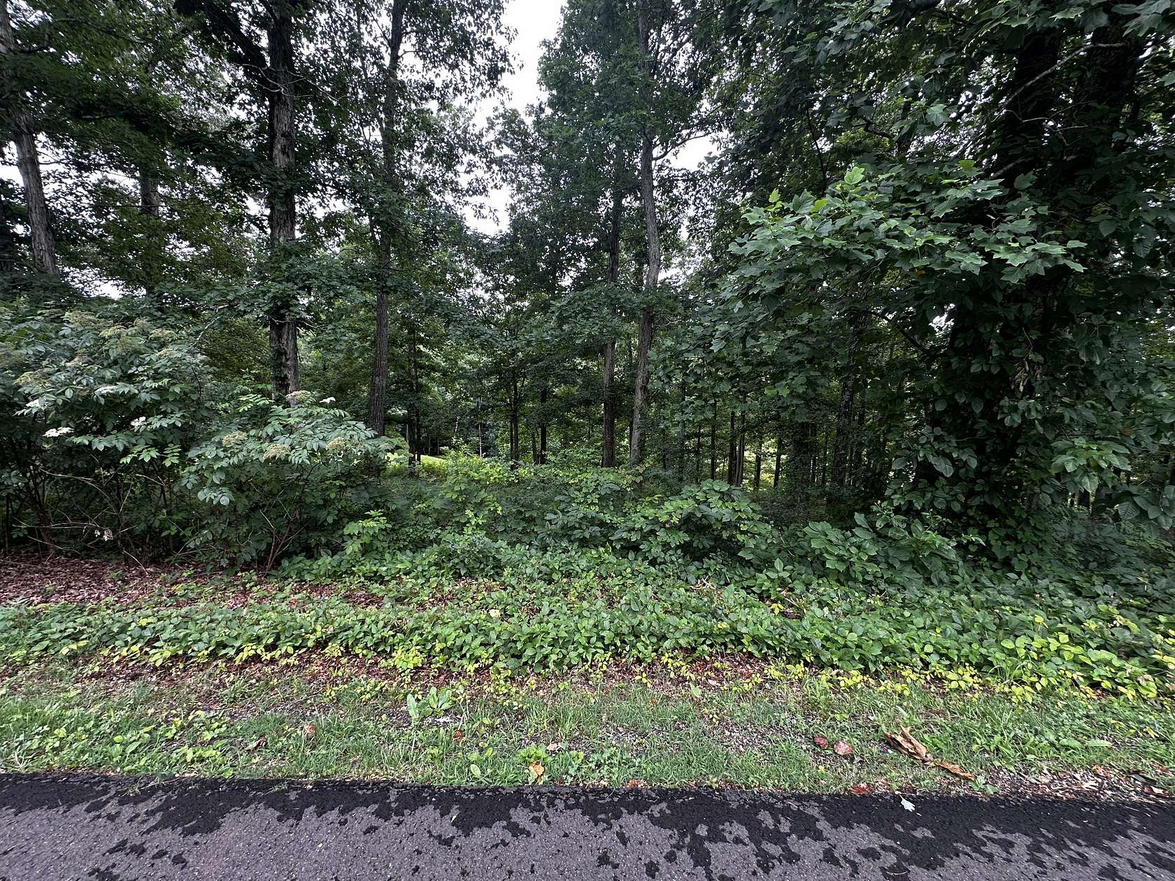 0.52 Acres of Residential Land for Sale in Loretto, Tennessee
