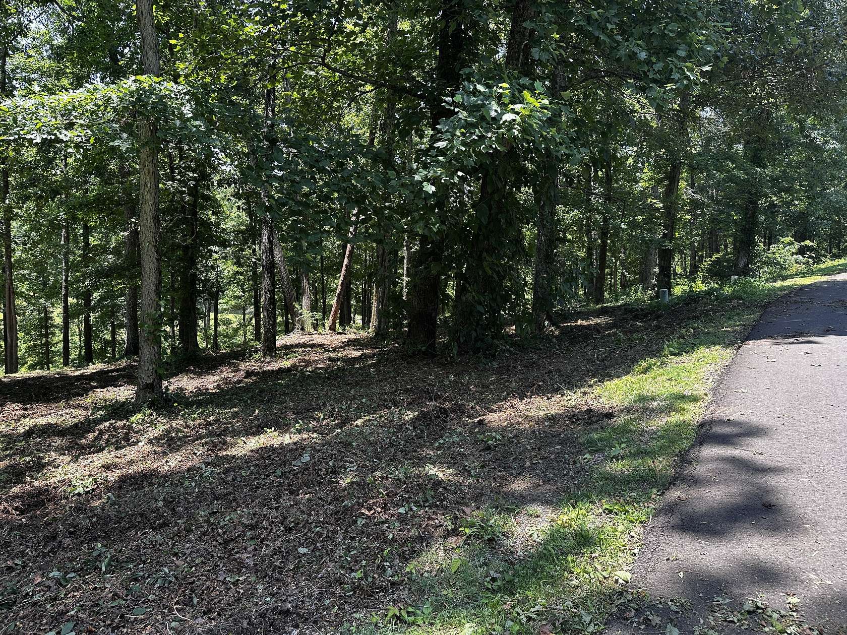 0.52 Acres of Residential Land for Sale in Loretto, Tennessee