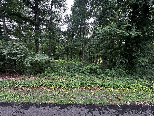 0.52 Acres of Residential Land for Sale in Loretto, Tennessee