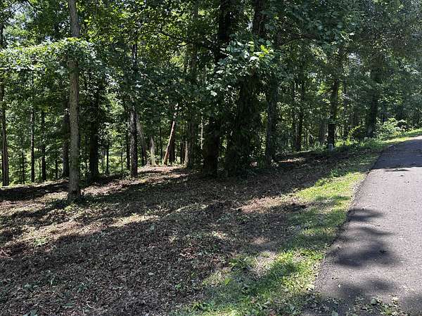 0.52 Acres of Residential Land for Sale in Loretto, Tennessee