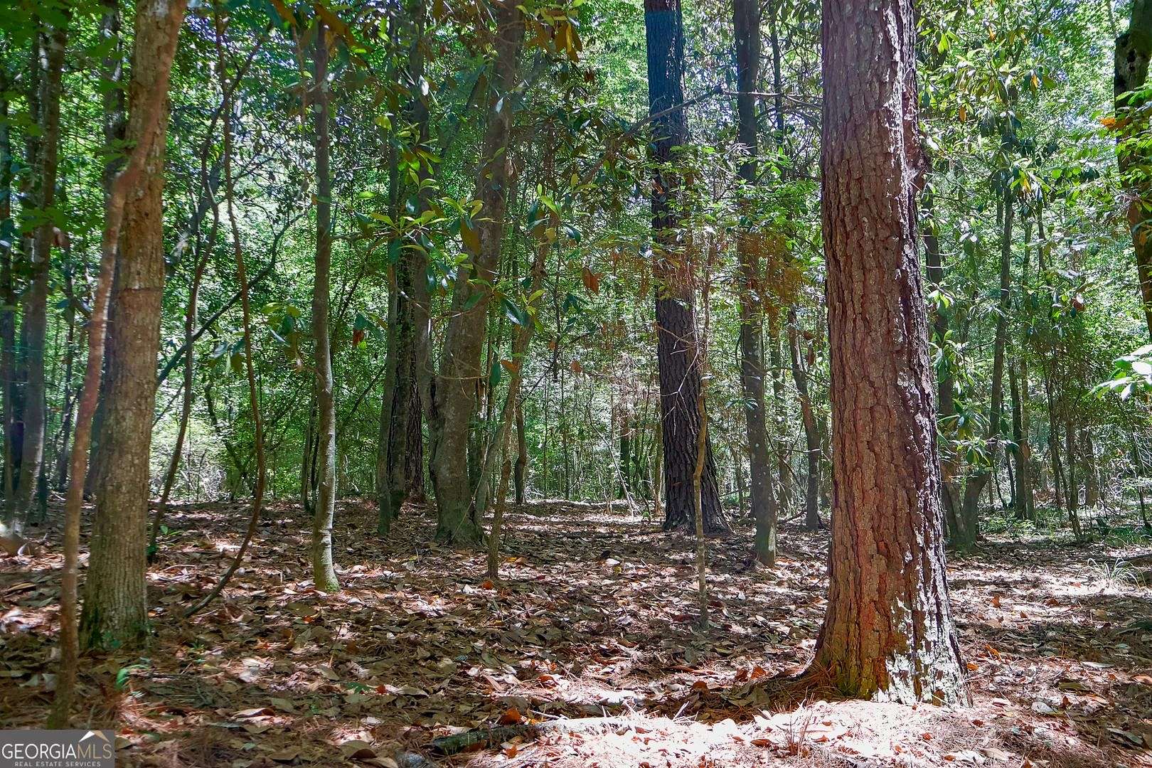 54 Acres of Land for Sale in Cochran, Georgia
