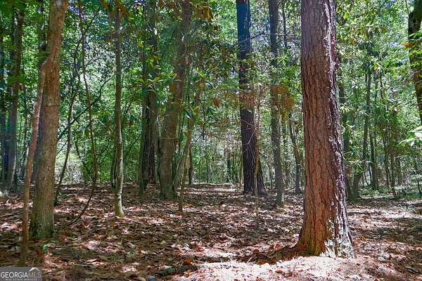 54 Acres of Land for Sale in Cochran, Georgia