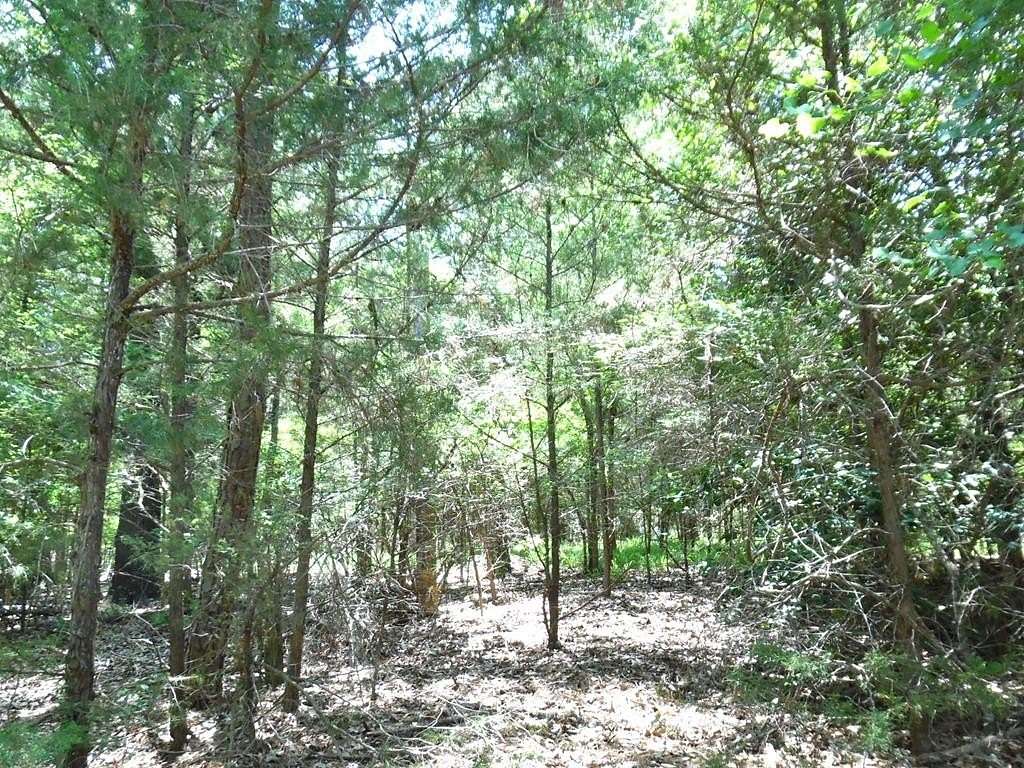 0.21 Acres of Land for Sale in Murchison, Texas