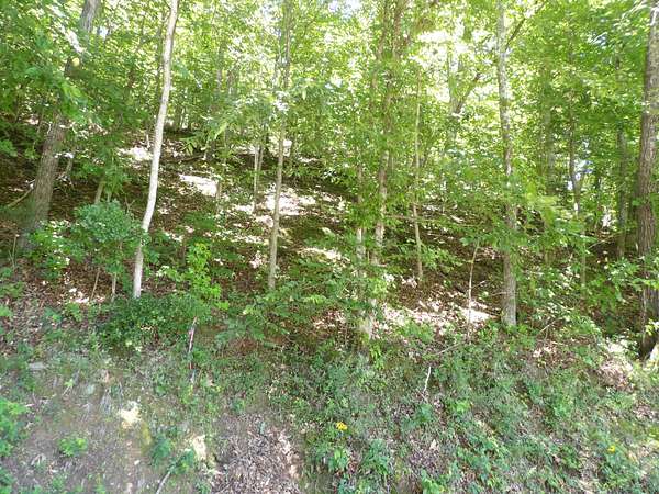 71.6 Acres of Land for Sale in Waverly, Tennessee