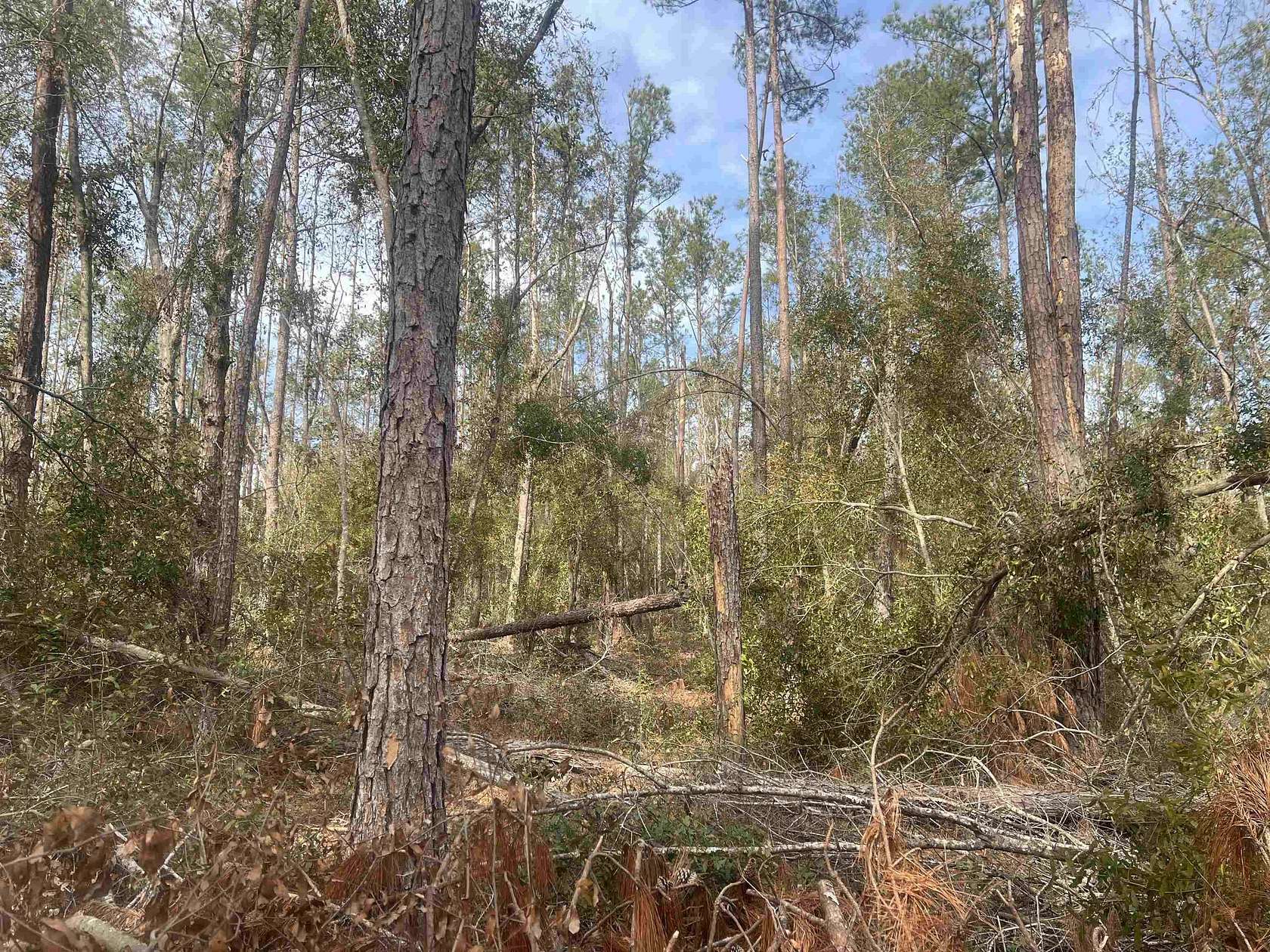 1 Acre of Land for Sale in Live Oak, Florida