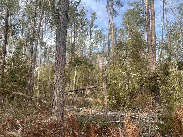 1 Acre of Land for Sale in Live Oak, Florida