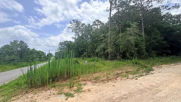 0.18 Acres of Land for Sale in Woodville, Texas