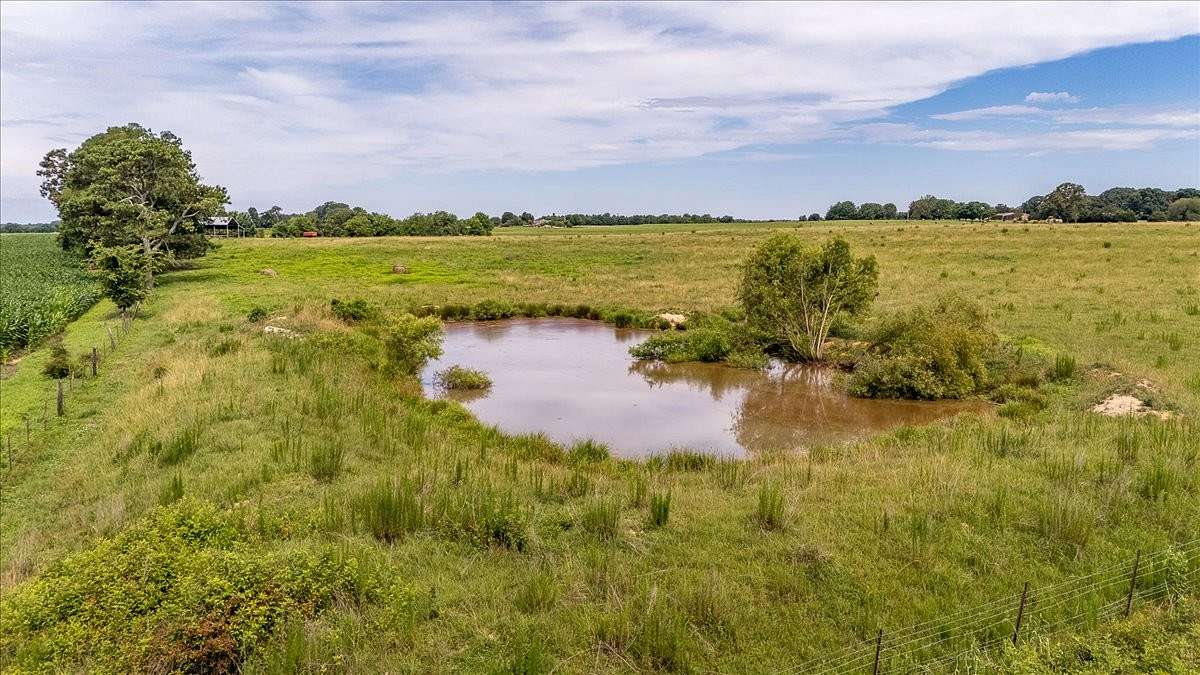 29.7 Acres of Agricultural Land for Sale in Leoma, Tennessee