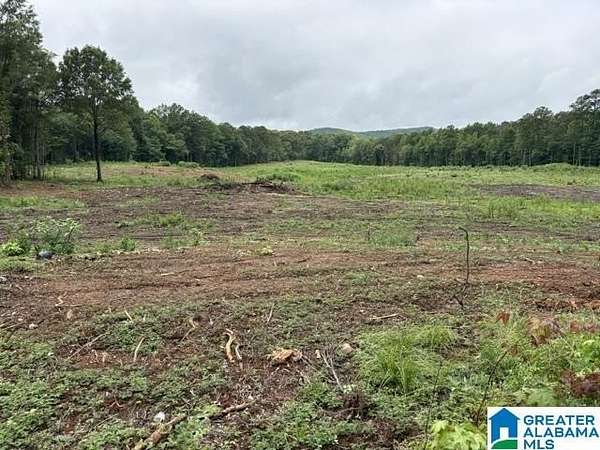 13 Acres of Land for Sale in Sylacauga, Alabama