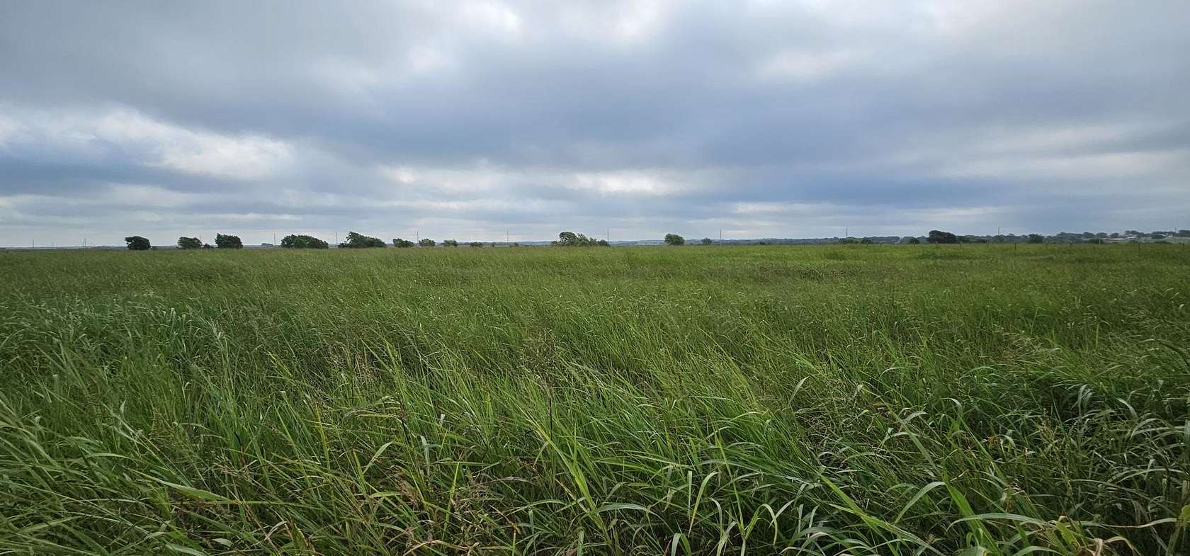 10 Acres of Land for Sale in Itasca, Texas