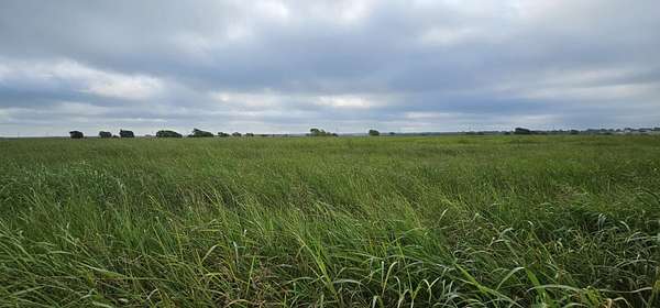 10 Acres of Land for Sale in Itasca, Texas
