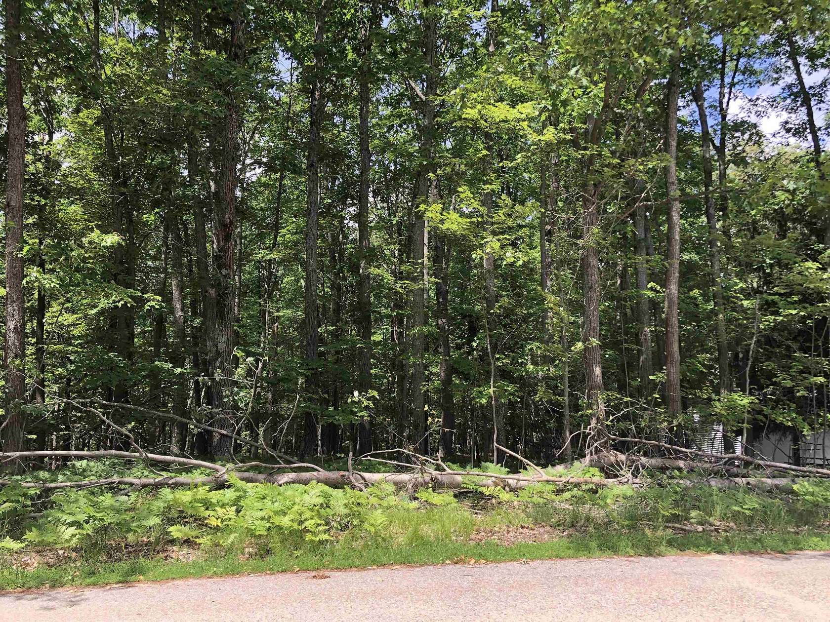 0.72 Acres of Residential Land for Sale in Roscommon, Michigan