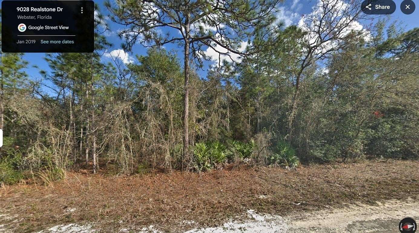 1 Acre of Residential Land for Sale in Webster, Florida