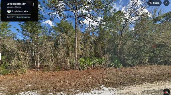 1 Acre of Residential Land for Sale in Webster, Florida