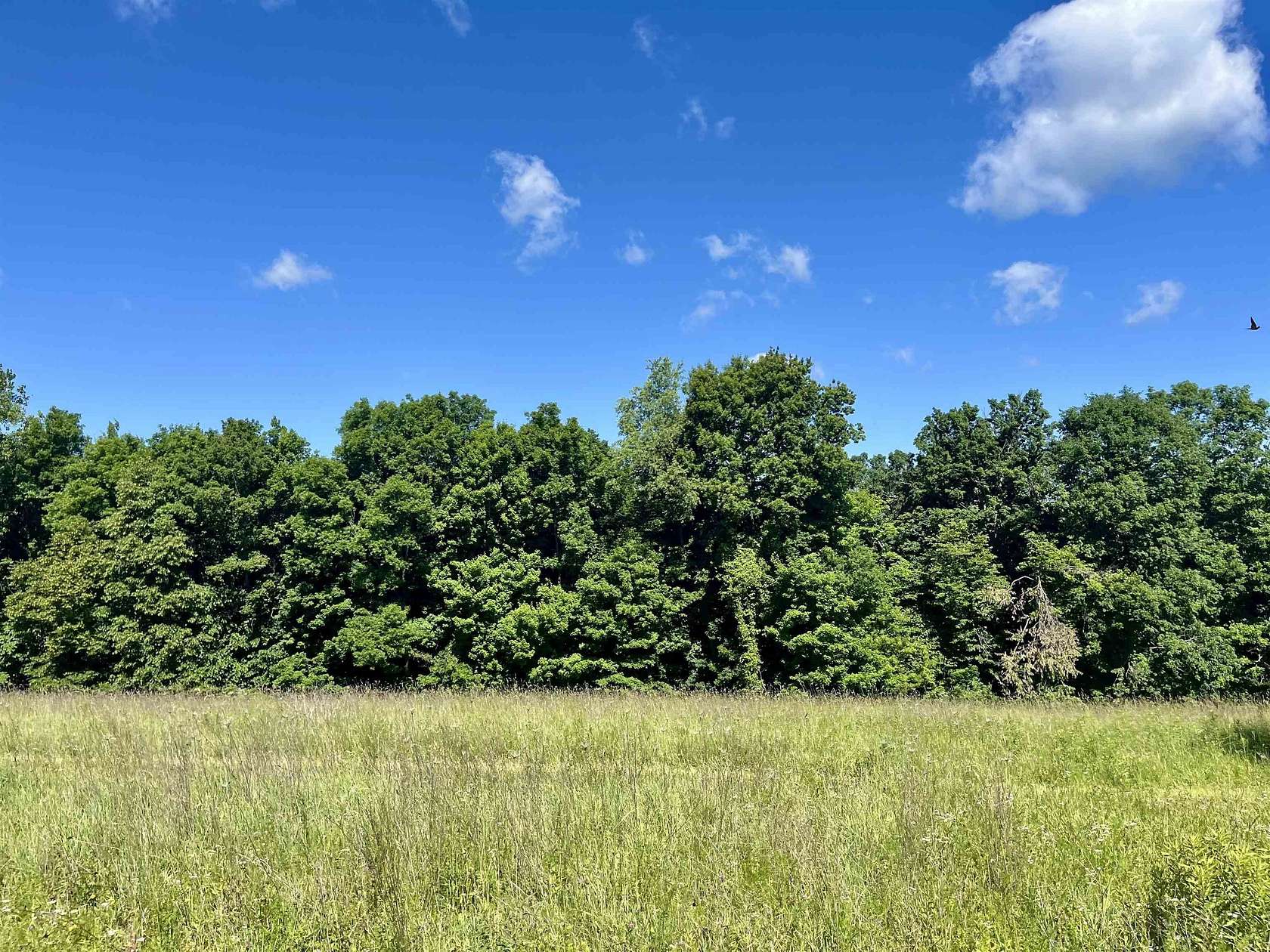 100 Acres of Land for Sale in Gays Mills, Wisconsin