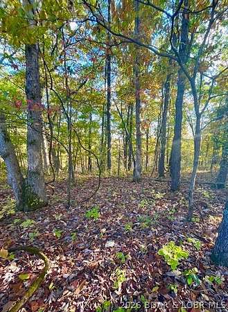 0.3 Acres of Residential Land for Sale in Barnett, Missouri
