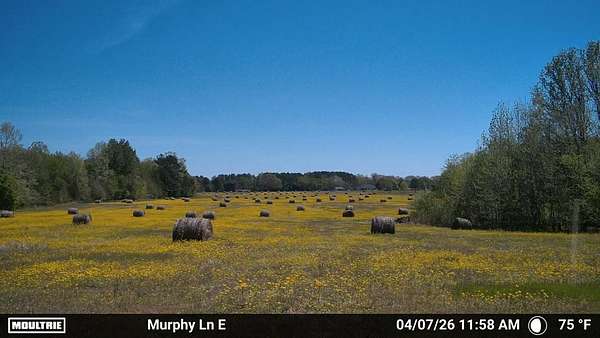 18.8 Acres of Land for Sale in Whiteville, Tennessee