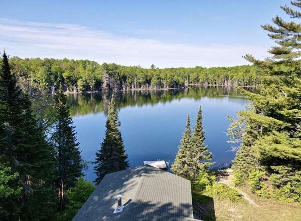 88 Acres of Recreational Land with Home for Sale in McMillan, Michigan