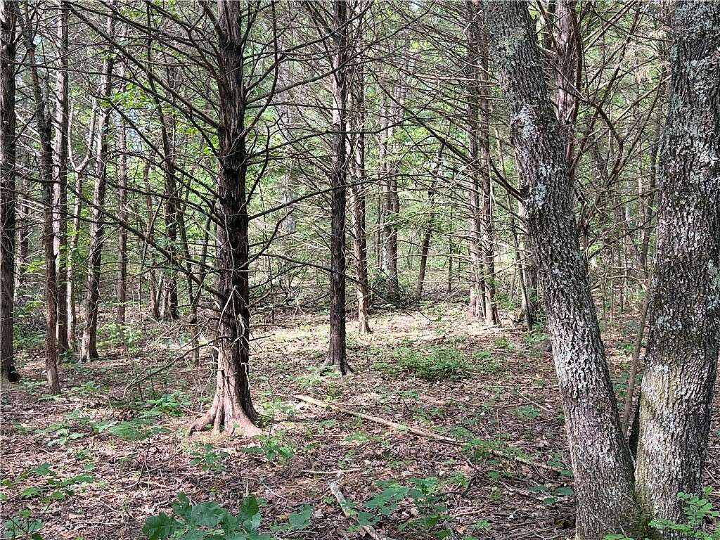 0.27 Acres of Residential Land for Sale in Bella Vista, Arkansas