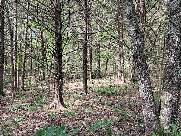 0.27 Acres of Residential Land for Sale in Bella Vista, Arkansas