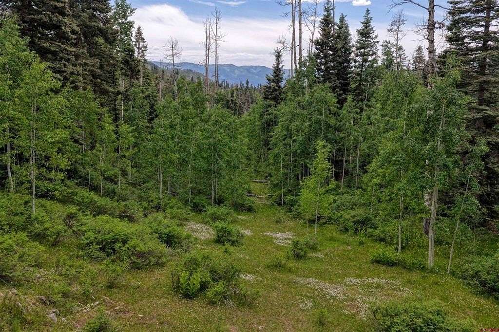 20 Acres of Recreational Land for Sale in Bayfield, Colorado