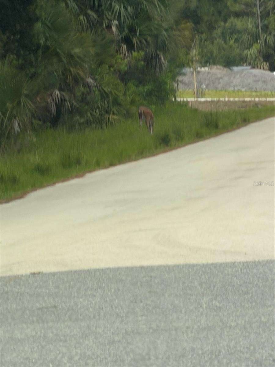 0.23 Acres of Residential Land for Sale in Ocala, Florida