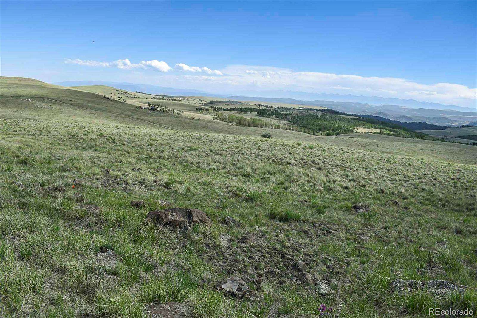 40 Acres of Land for Sale in Guffey, Colorado