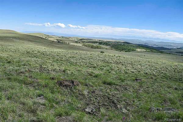 40 Acres of Land for Sale in Guffey, Colorado