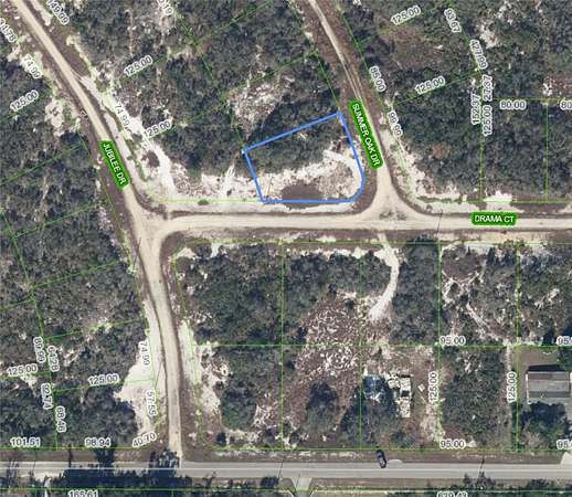 0.24 Acres of Residential Land for Sale in Lake Placid, Florida