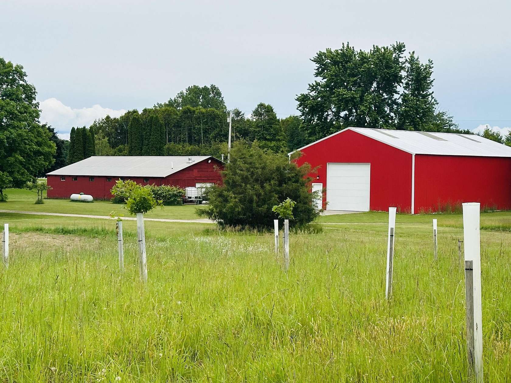 70 Acres of Land for Sale in Manistee, Michigan