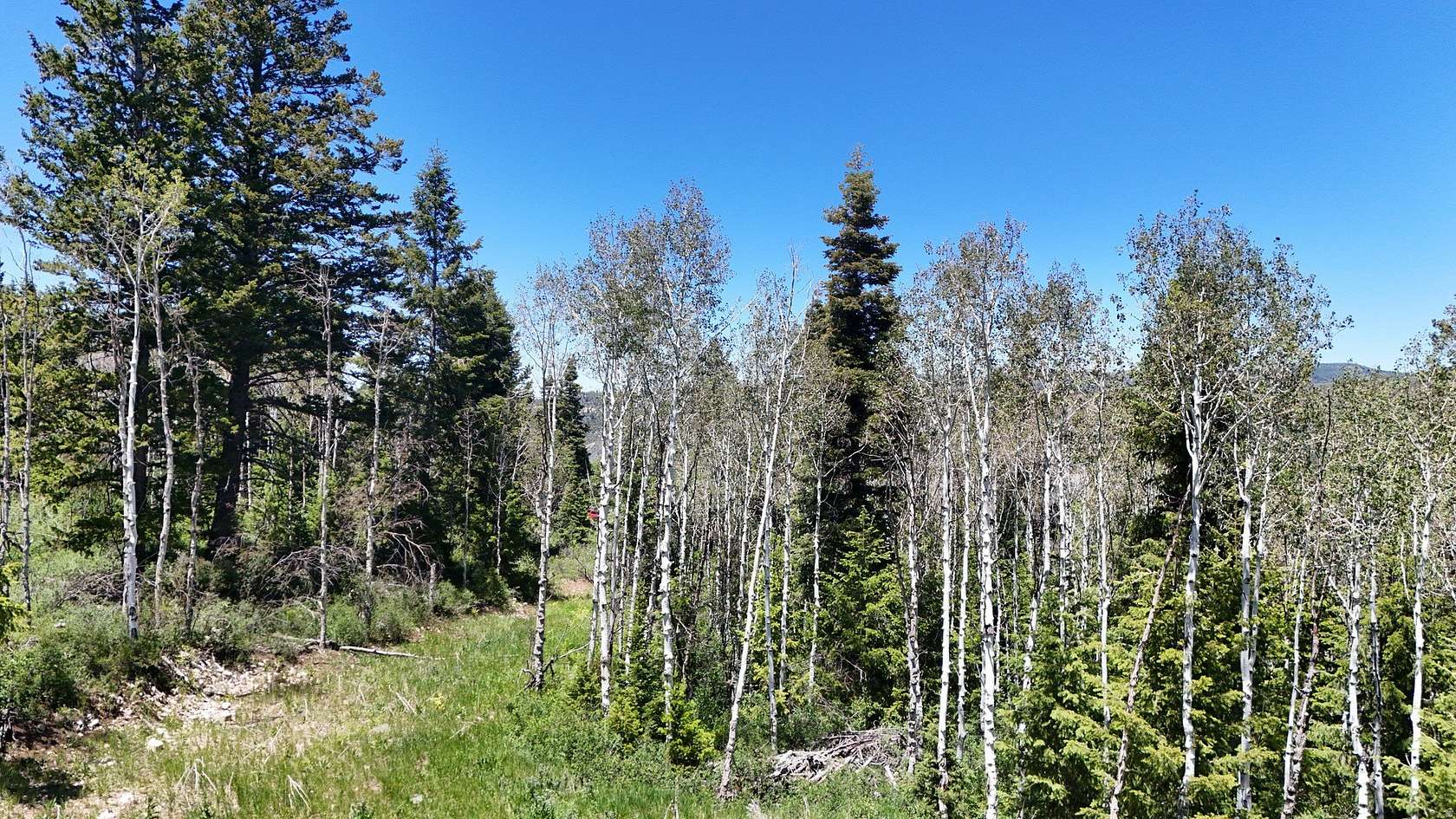 9.17 Acres of Land for Sale in Spanish Fork, Utah