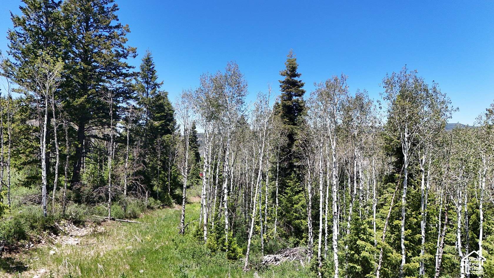 9.17 Acres of Land for Sale in Spanish Fork, Utah