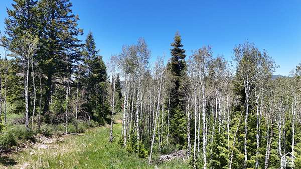 9.17 Acres of Land for Sale in Spanish Fork, Utah