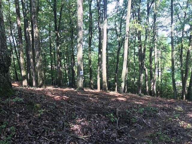 1 Acre of Residential Land for Sale in Spring City, Tennessee