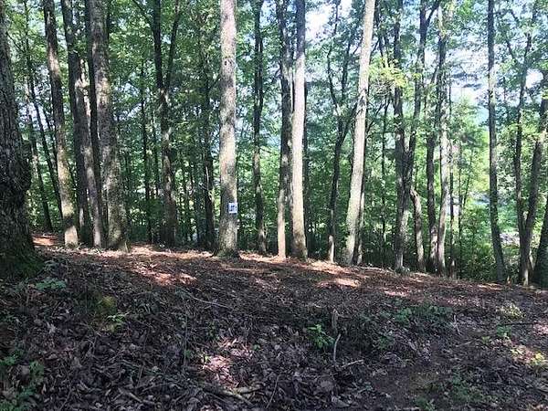 1 Acre of Residential Land for Sale in Spring City, Tennessee