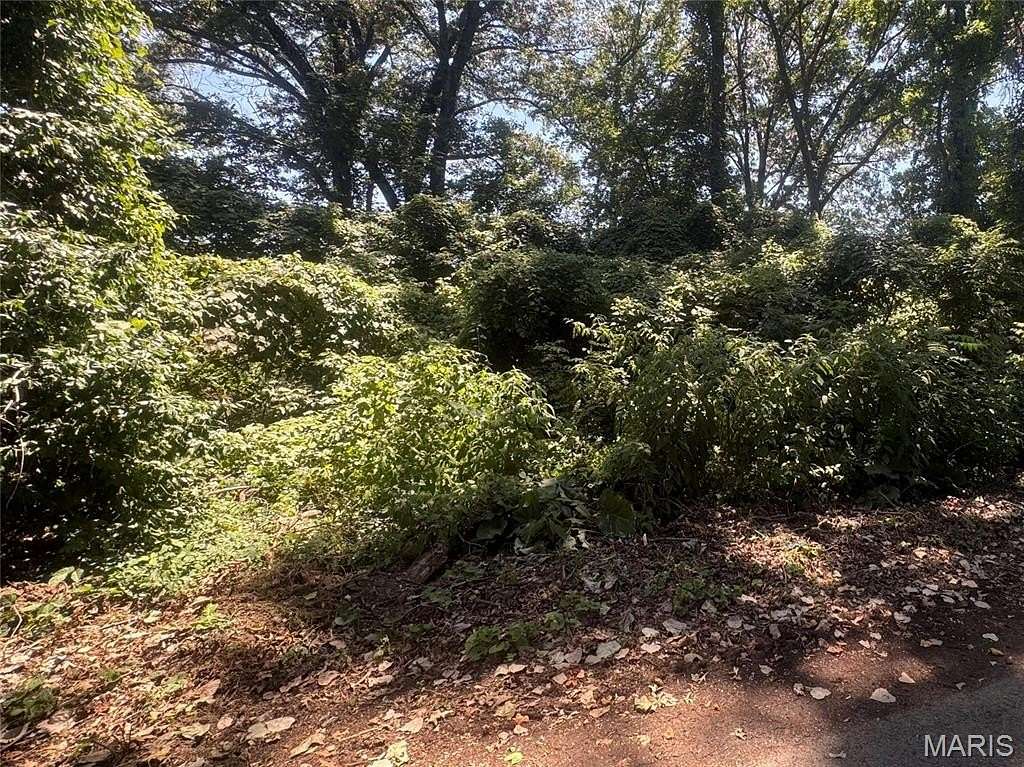 Residential Land for Sale in Poplar Bluff, Missouri