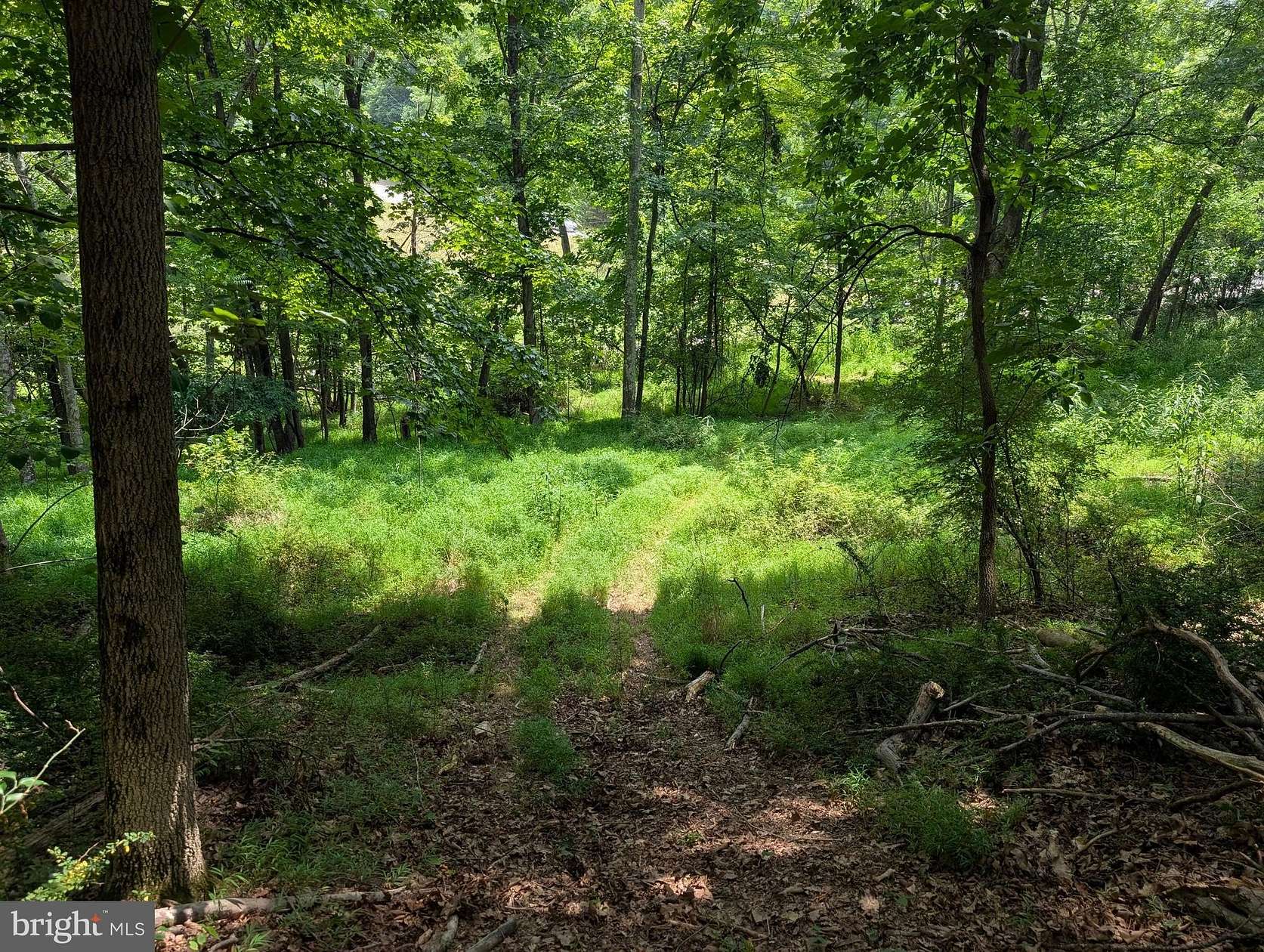 26.8 Acres of Recreational & Residential Land for Sale in Berkeley Springs, West Virginia