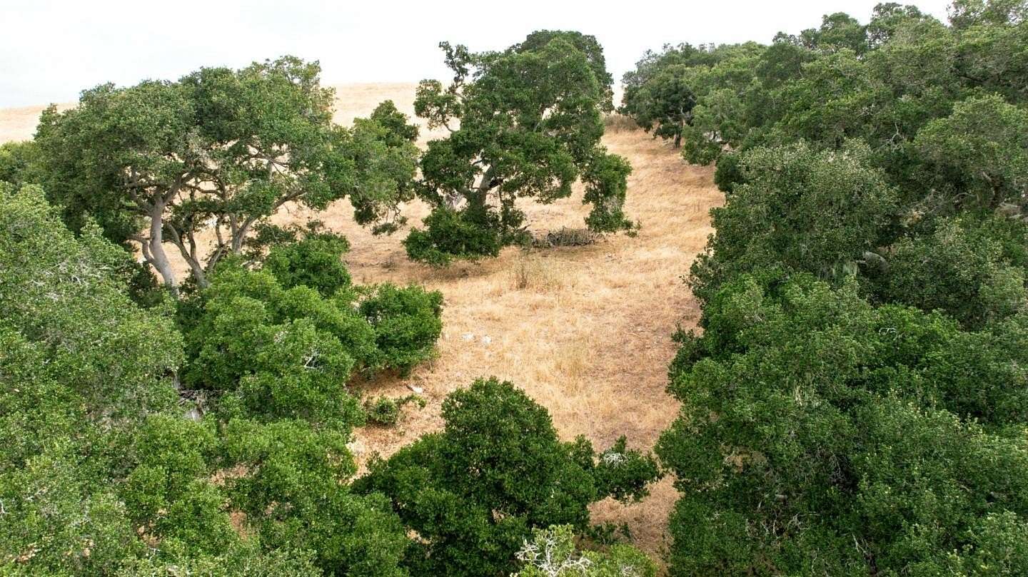 68.7 Acres of Land for Sale in San Juan Bautista, California