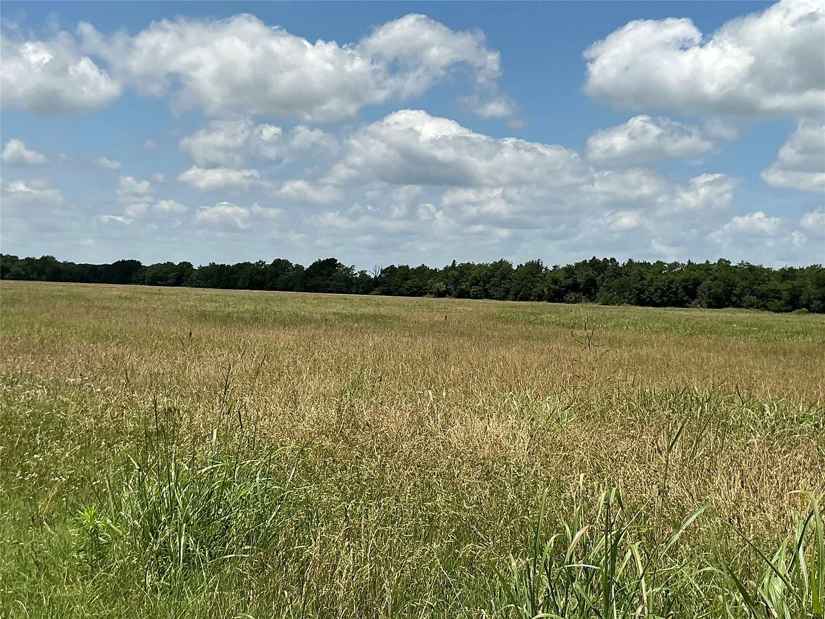 50 Acres of Land for Sale in Wills Point, Texas