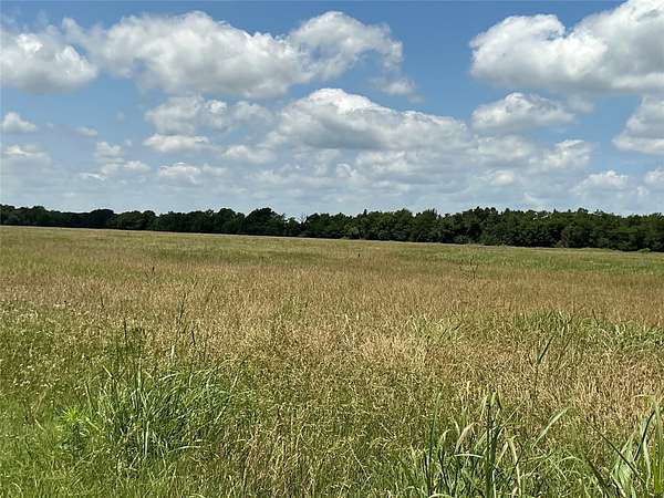 50 Acres of Land for Sale in Wills Point, Texas