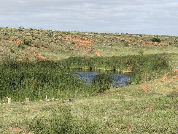 325 Acres of Land for Sale in Childress, Texas