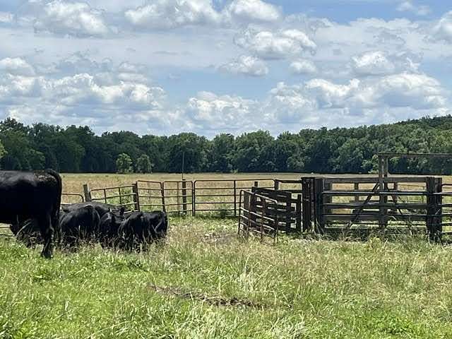 73 Acres of Land for Sale in Columbia, Missouri