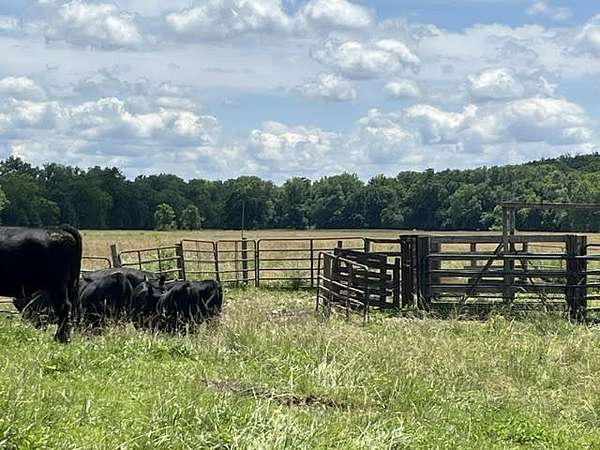 73 Acres of Land for Sale in Columbia, Missouri