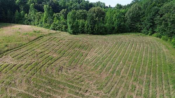 1 Acre of Residential Land for Sale in Smithville, Tennessee