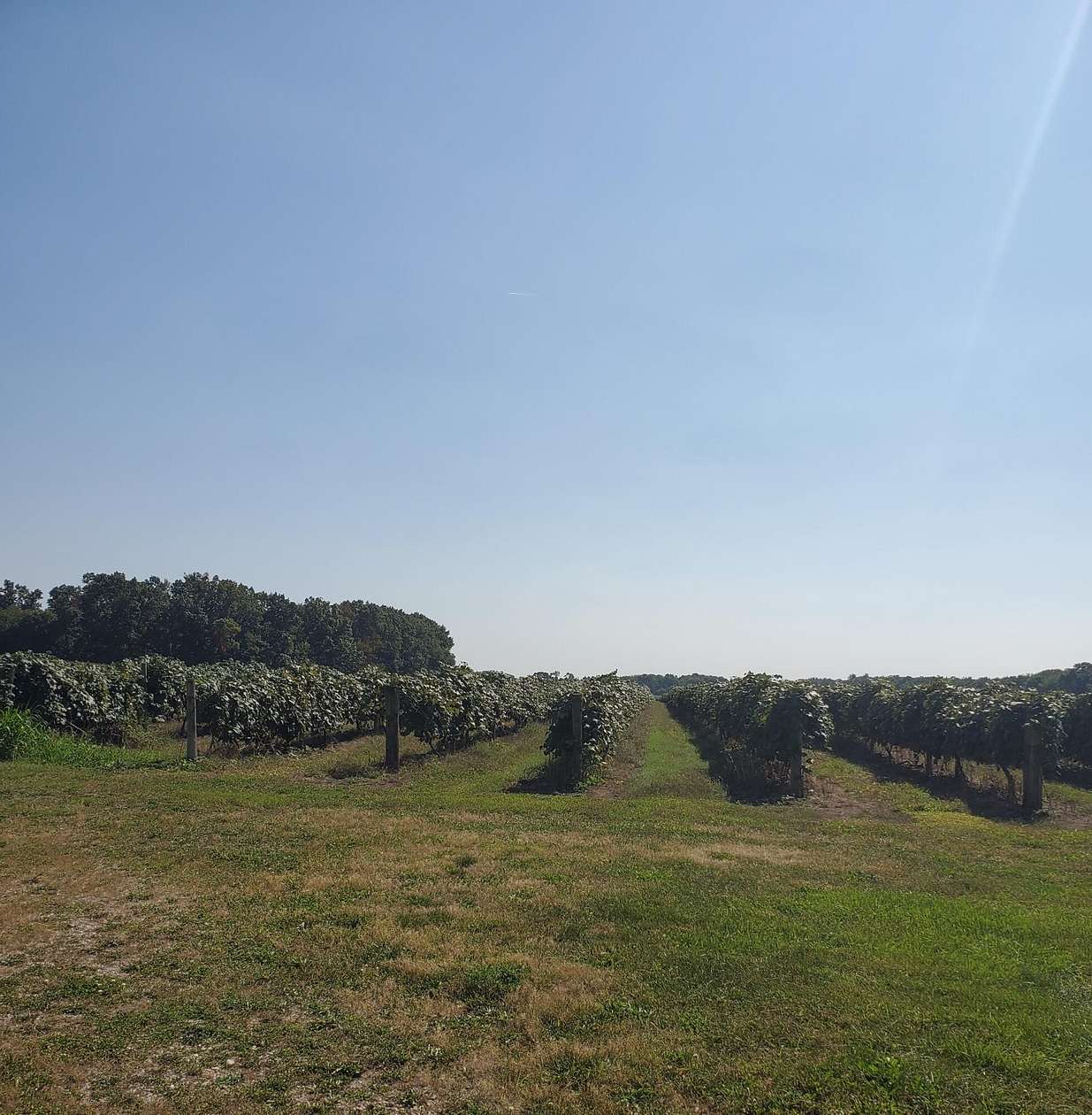 10 Acres of Land for Sale in Paw Paw, Michigan