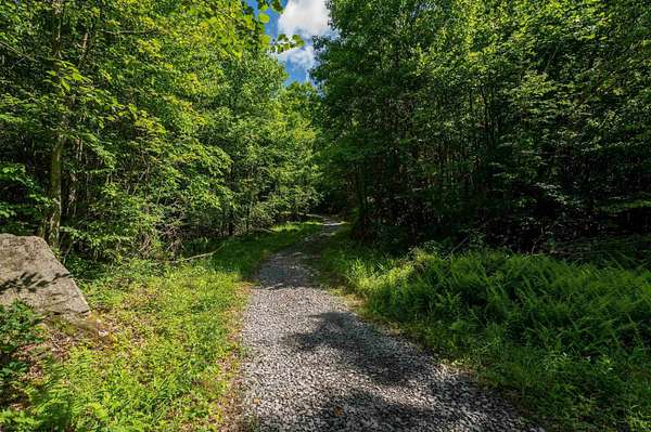 230 Acres of Recreational & Residential Land for Sale in Kingwood, West Virginia