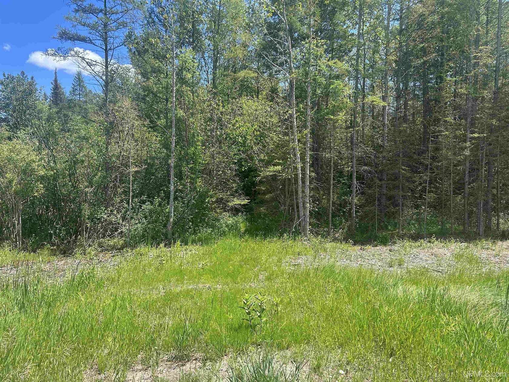 40 Acres of Recreational & Residential Land for Sale in Escanaba, Michigan